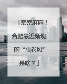 密密麻麻！合肥最近频现的“虫卷风”是啥？