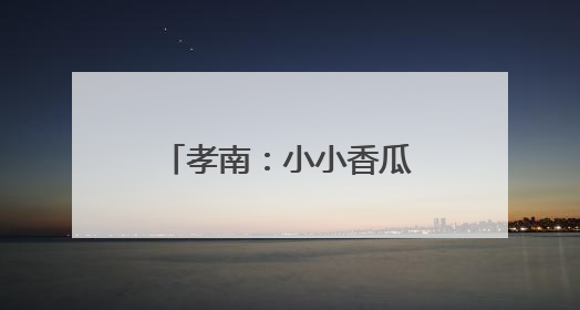 孝南：小小香瓜 “甜”出富路