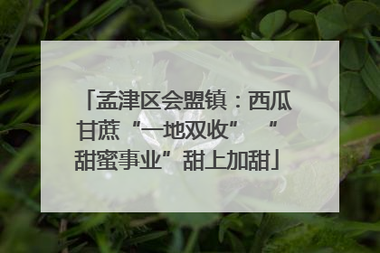 孟津区会盟镇：西瓜甘蔗“一地双收” “甜蜜事业”甜上加甜