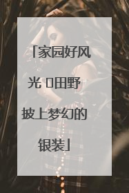 家园好风光 ⎮田野披上梦幻的银装
