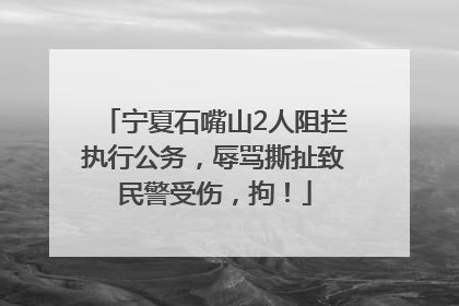 宁夏石嘴山2人阻拦执行公务，辱骂撕扯致民警受伤，拘！