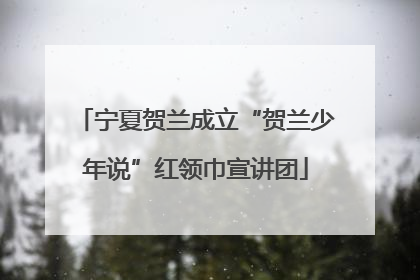 宁夏贺兰成立“贺兰少年说”红领巾宣讲团