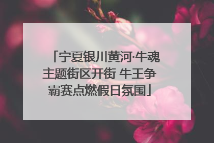宁夏银川黄河·牛魂主题街区开街 牛王争霸赛点燃假日氛围