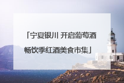 宁夏银川 开启葡萄酒畅饮季红酒美食市集