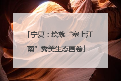 宁夏：绘就“塞上江南”秀美生态画卷