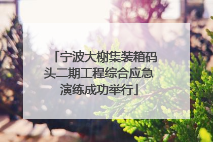 宁波大榭集装箱码头二期工程综合应急演练成功举行