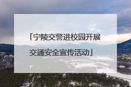 宁陵交警进校园开展交通安全宣传活动