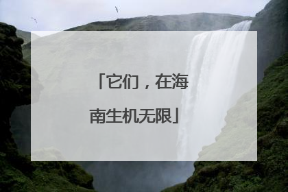 它们，在海南生机无限