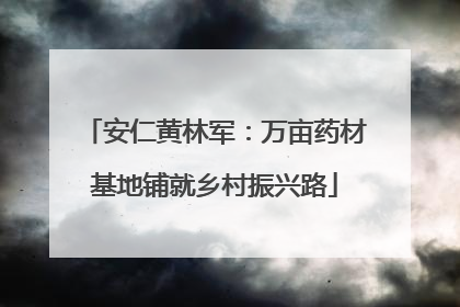安仁黄林军：万亩药材基地铺就乡村振兴路