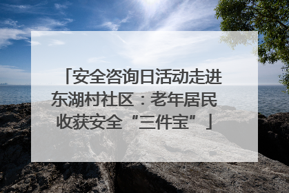 安全咨询日活动走进东湖村社区：老年居民收获安全“三件宝”