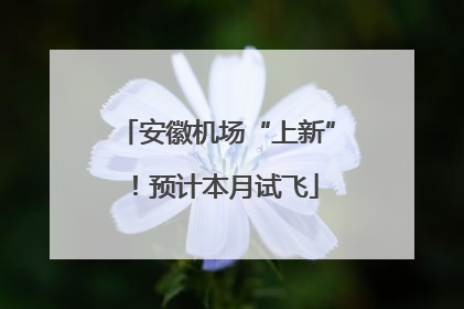 安徽机场“上新”！预计本月试飞