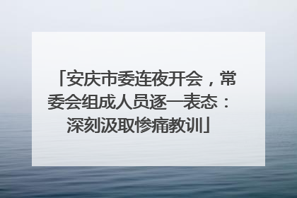 安庆市委连夜开会，常委会组成人员逐一表态：深刻汲取惨痛教训