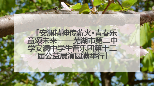 安澜精神传薪火•青春乐章颂未来——芜湖市第二中学安澜中学生管乐团第十二届公益展演圆满举行