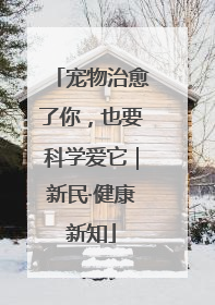 宠物治愈了你，也要科学爱它｜新民·健康新知