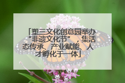 塑三文化创意园举办“非遗文化节”，集活态传承、产业赋能、人才孵化于一体