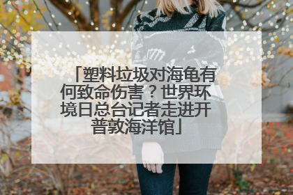 塑料垃圾对海龟有何致命伤害？世界环境日总台记者走进开普敦海洋馆
