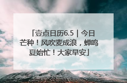 壹点日历6.5｜今日芒种！风吹麦成浪，蝉鸣夏始忙！大家早安