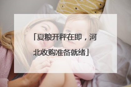 夏粮开秤在即，河北收购准备就绪