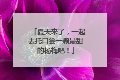 夏天来了，一起去托口尝一颗最甜的杨梅吧！