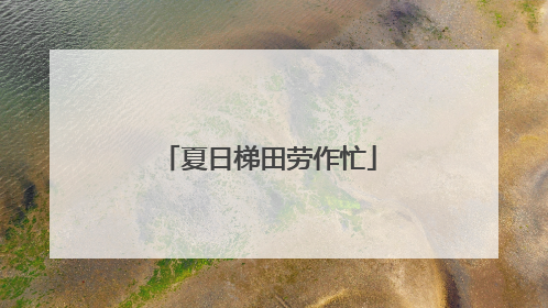 夏日梯田劳作忙