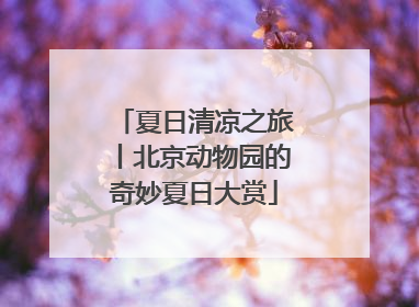 夏日清凉之旅丨北京动物园的奇妙夏日大赏
