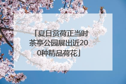 夏日赏荷正当时 茶亭公园展出近200种精品荷花