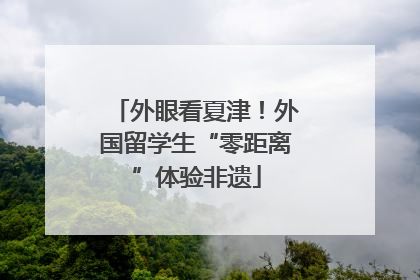 外眼看夏津！外国留学生“零距离”体验非遗