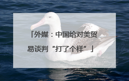 外媒：中国给对美贸易谈判“打了个样”