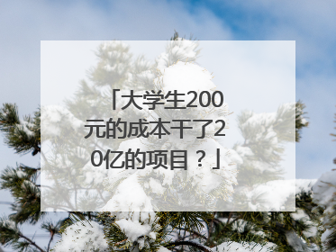大学生200元的成本干了20亿的项目？