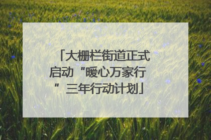 大栅栏街道正式启动“暖心万家行”三年行动计划