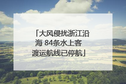大风侵扰浙江沿海 84条水上客渡运航线已停航