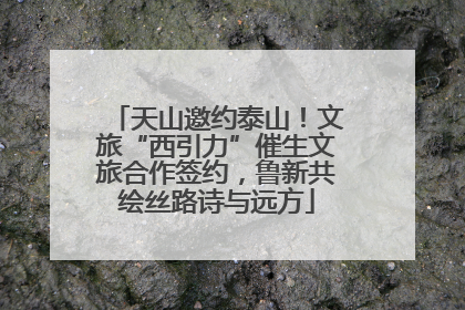 天山邀约泰山！文旅“西引力”催生文旅合作签约，鲁新共绘丝路诗与远方