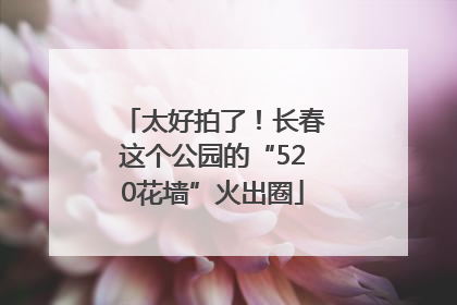 太好拍了！长春这个公园的“520花墙”火出圈