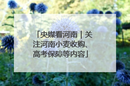 央媒看河南｜关注河南小麦收购、高考保障等内容