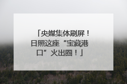 央媒集体刷屏！日照这座“宝藏港口”火出圈！