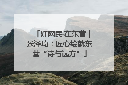 好网民·在东营｜张泽琦：匠心绘就东营“诗与远方”