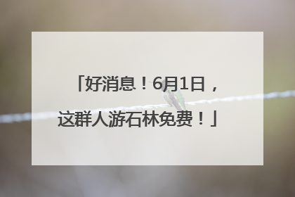 好消息！6月1日，这群人游石林免费！