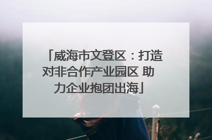 威海市文登区：打造对非合作产业园区 助力企业抱团出海