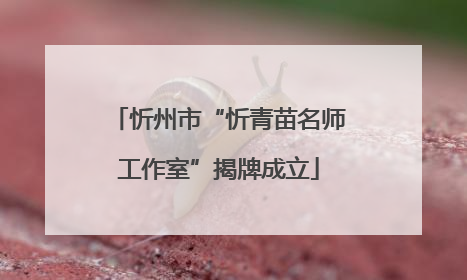 忻州市“忻青苗名师工作室”揭牌成立