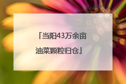 当阳43万余亩油菜颗粒归仓