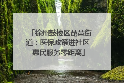 徐州鼓楼区琵琶街道：医保政策进社区 惠民服务零距离