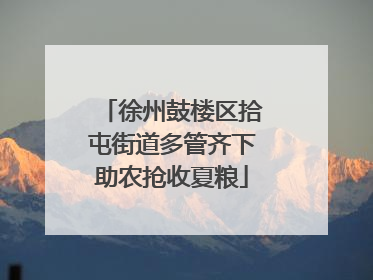 徐州鼓楼区拾屯街道多管齐下助农抢收夏粮