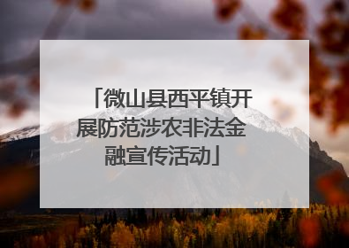 微山县西平镇开展防范涉农非法金融宣传活动