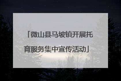 微山县马坡镇开展托育服务集中宣传活动