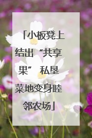 小板凳上结出“共享果” 私垦菜地变身睦邻农场