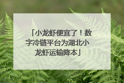 小龙虾便宜了！数字冷链平台为湖北小龙虾运输降本