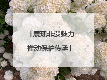 展现非遗魅力 推动保护传承