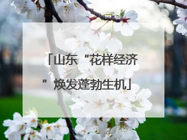 山东“花样经济”焕发蓬勃生机