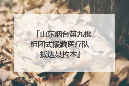 山东烟台第九批组团式援藏医疗队抵达聂拉木