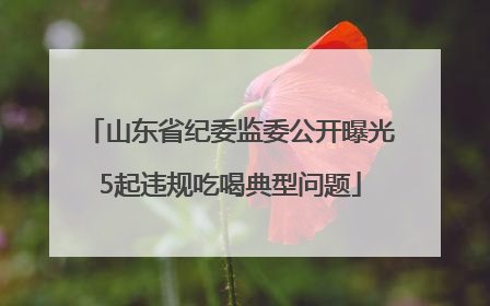 山东省纪委监委公开曝光5起违规吃喝典型问题